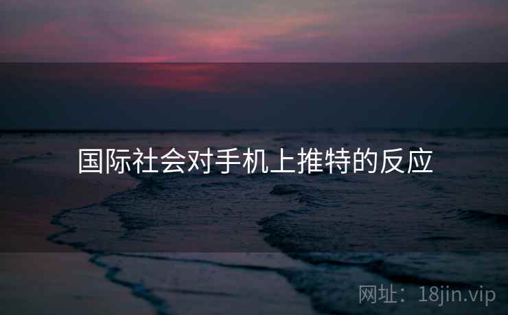 国际社会对手机上推特的反应