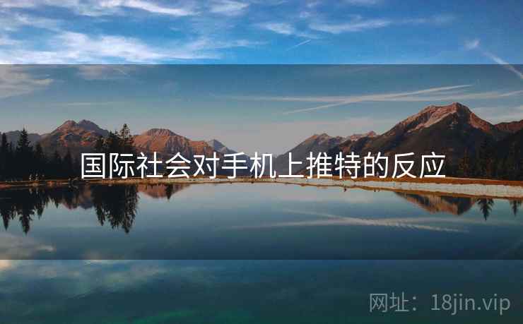 国际社会对手机上推特的反应  第2张