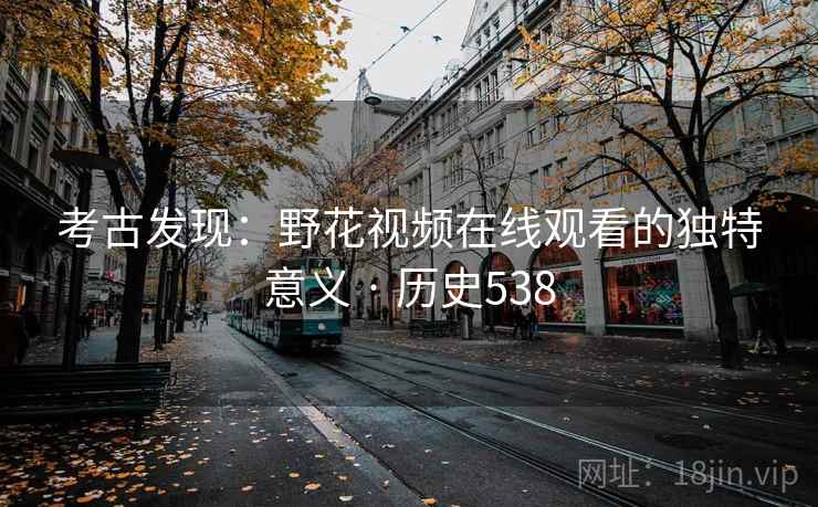 考古发现：野花视频在线观看的独特意义 · 历史538